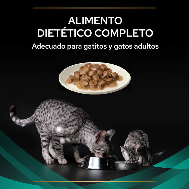 10 saquetas x 85 g Pro Plan Veterinary Diets Feline Gastrointestinal Salmão em Molho saquetas para gatos - Multipack,  Imagem número 4 10 saquetas x 85 g Pro Plan Veterinary Diets Feline Gastrointestinal Salmão em Molho saquetas para gatos - Multipack, , large Imagem número 4